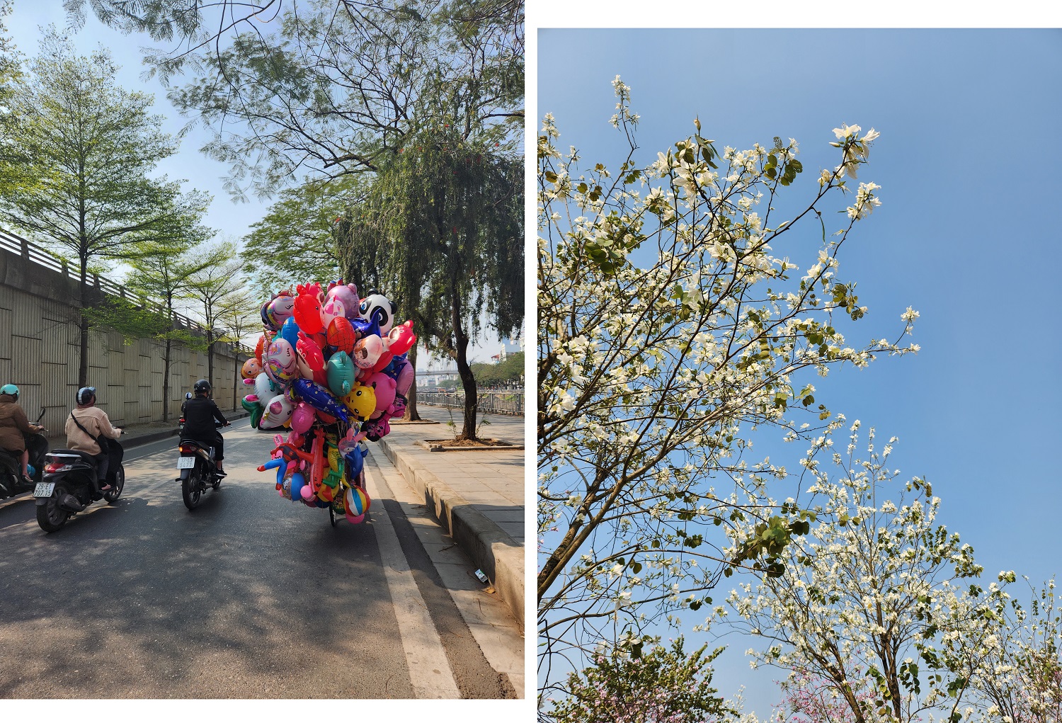 Đã đi Grab thì tôi ‘né’ ô tô, chỉ chọn xe máy và đây là 4 lý do xem bạn có đồng tình hay không - Ảnh 5. Đã đi Grab thì tôi ‘né’ ô tô, chỉ chọn xe máy và đây là 4 lý do xem bạn có đồng tình hay không - Ảnh 5.