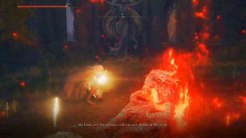 Bá đạo như game thủ Elden Ring, tự hủy NPC hướng dẫn ngay từ đầu rồi vẫn phá đảo như thường - Ảnh 3. Bá đạo như game thủ Elden Ring, tự hủy NPC hướng dẫn ngay từ đầu rồi vẫn phá đảo như thường - Ảnh 3.