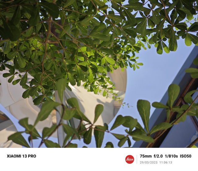 Thử so camera vivo X90 Pro và Xiaomi 13 Pro: Cân tài cân sức nhưng có một chiếc điện thoại nhỉnh hơn ở chi tiết này - Ảnh 14. Thử so camera vivo X90 Pro và Xiaomi 13 Pro: Cân tài cân sức nhưng có một chiếc điện thoại nhỉnh hơn ở chi tiết này - Ảnh 14.