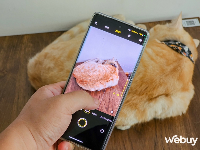 Thử so camera vivo X90 Pro và Xiaomi 13 Pro: Cân tài cân sức nhưng có một chiếc điện thoại nhỉnh hơn ở chi tiết này - Ảnh 21. Thử so camera vivo X90 Pro và Xiaomi 13 Pro: Cân tài cân sức nhưng có một chiếc điện thoại nhỉnh hơn ở chi tiết này - Ảnh 21.