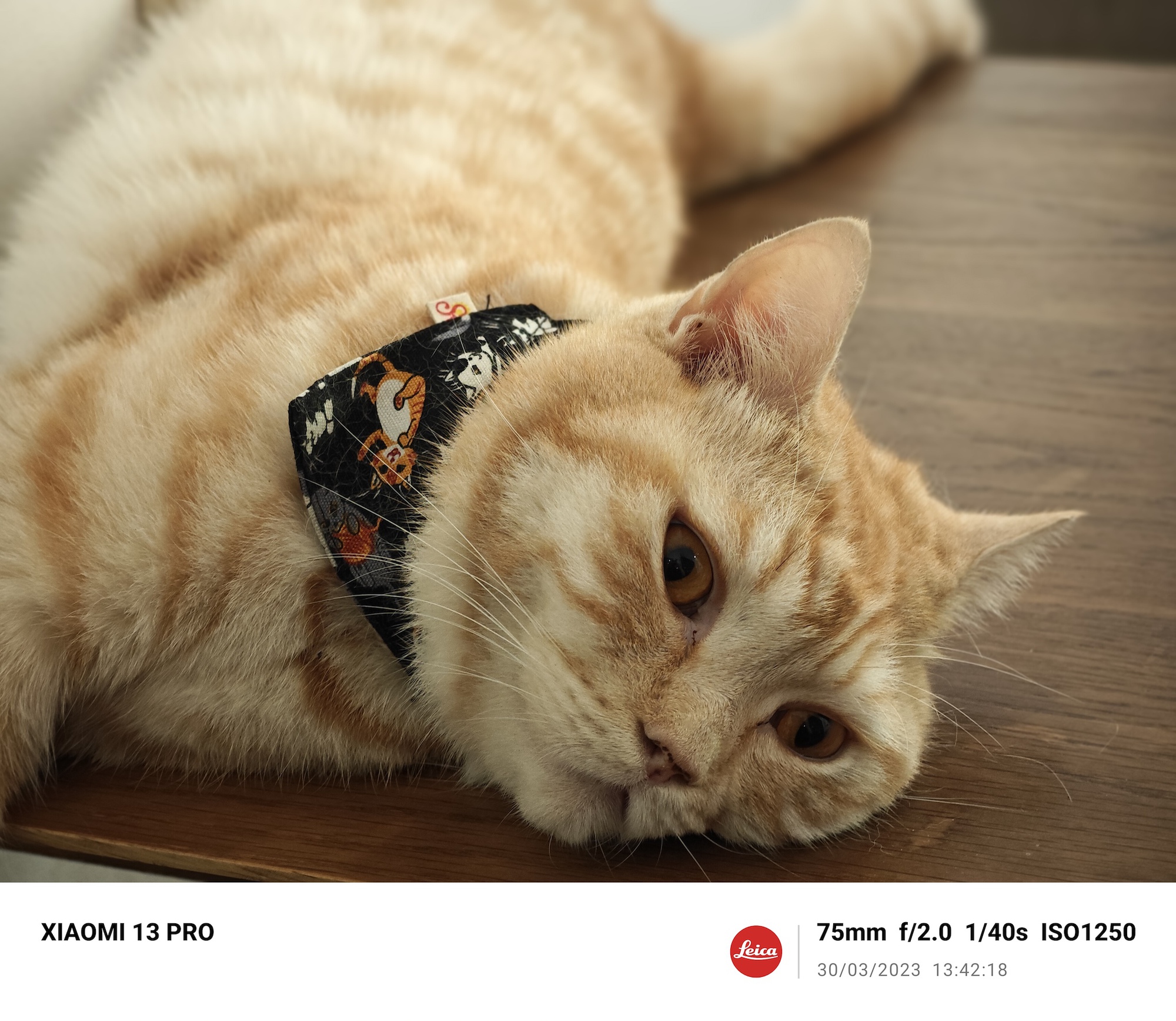 Thử so camera vivo X90 Pro và Xiaomi 13 Pro: Cân tài cân sức nhưng có một chiếc điện thoại nhỉnh hơn ở chi tiết này