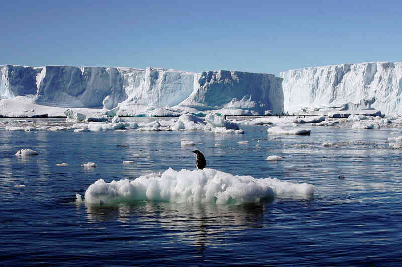 Phát hiện 'thế giới khác' ẩn sâu hàng nghìn mét dưới lớp băng ở Nam Cực - Ảnh 6.