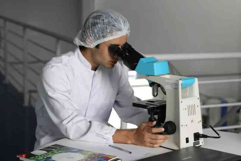 Các nhà khoa học tuyên bố những đứa trẻ lớn lên trong phòng thí nghiệm có thể sẽ xuất hiện vào năm 2028 - Ảnh 4. Các nhà khoa học tuyên bố những đứa trẻ lớn lên trong phòng thí nghiệm có thể sẽ xuất hiện vào năm 2028 - Ảnh 4.