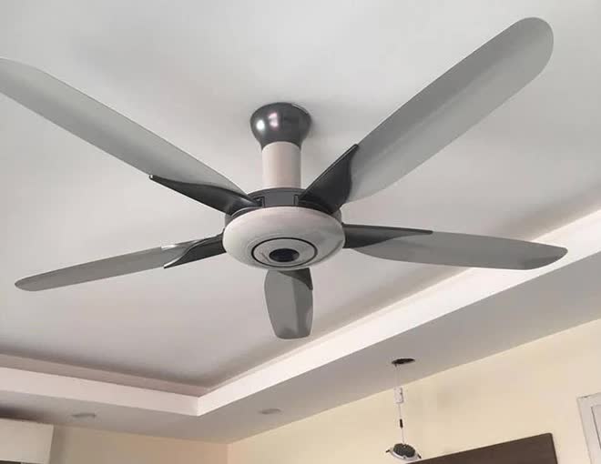 Quạt trần hay quạt cây tốn điện hơn? Bảng so sánh từ nghiên cứu của chuyên gia gây bất ngờ