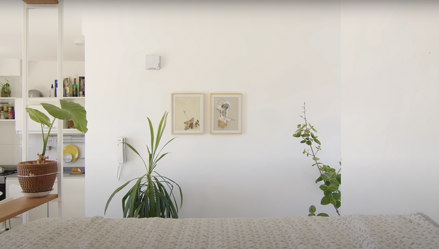 Kiến trúc sư cải tạo nhà đi thuê 28m2: Không gian xanh mướt, thiết kế quá khéo léo - Ảnh 6. Kiến trúc sư cải tạo nhà đi thuê 28m2: Không gian xanh mướt, thiết kế quá khéo léo - Ảnh 6.