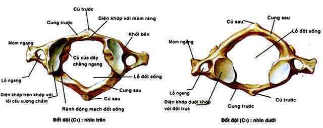 Ca phẫu thuật nối lại đầu "thần kỳ" của bác sĩ Israel, ít người biết bác sĩ Việt Nam đã làm được điều đó từ 5 năm trước - Ảnh 3. Ca phẫu thuật nối lại đầu "thần kỳ" của bác sĩ Israel, ít người biết bác sĩ Việt Nam đã làm được điều đó từ 5 năm trước - Ảnh 3.