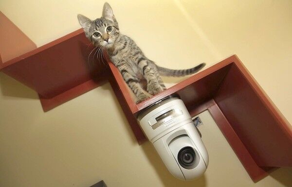 Bất ngờ những nơi đặt camera an ninh là vô nghĩa, hóa ra chúng ta toàn làm sai - Ảnh 2. Bất ngờ những nơi đặt camera an ninh là vô nghĩa, hóa ra chúng ta toàn làm sai - Ảnh 2.
