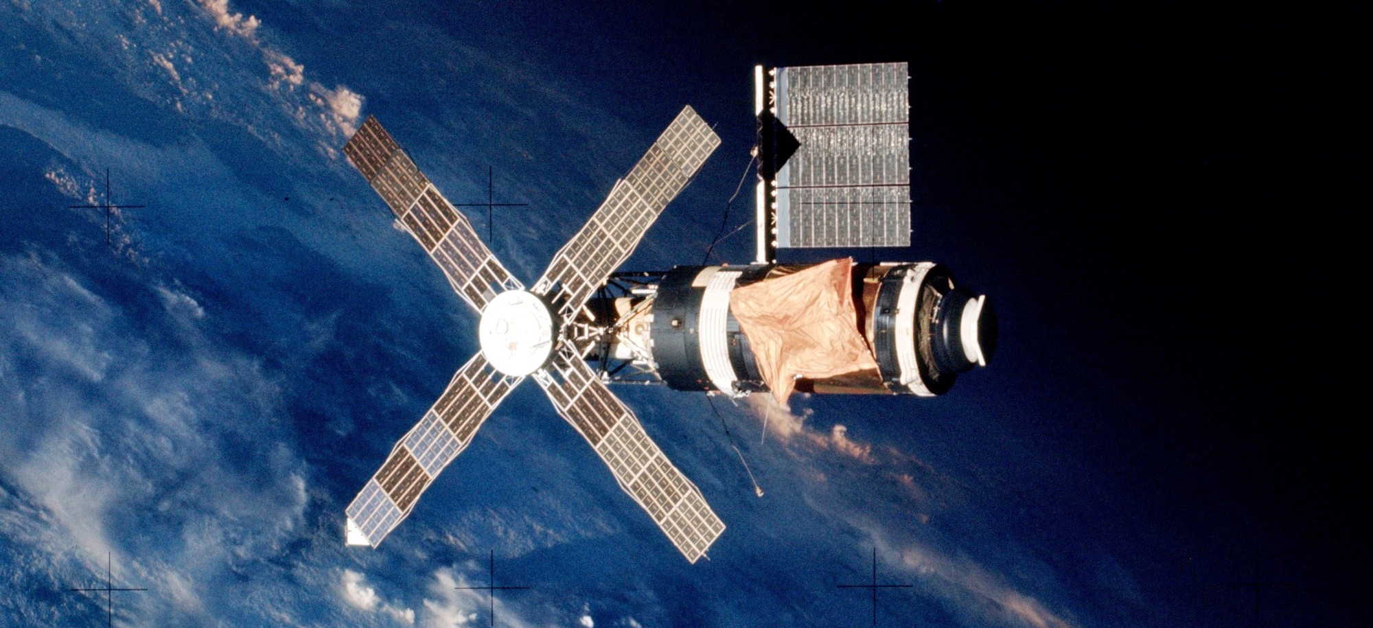 NASA đưa 2.487 con sứa vào không gian: Tốc độ sinh sản tăng gần gấp đôi nhưng xuất hiện điều bất thường này - Ảnh 3. NASA đưa 2.487 con sứa vào không gian: Tốc độ sinh sản tăng gần gấp đôi nhưng xuất hiện điều bất thường này - Ảnh 3.
