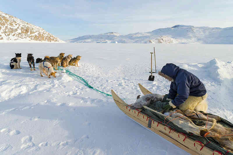 Tại sao người Inuit lại có tập tục trao đổi vợ? - Ảnh 3. Tại sao người Inuit lại có tập tục trao đổi vợ? - Ảnh 3.