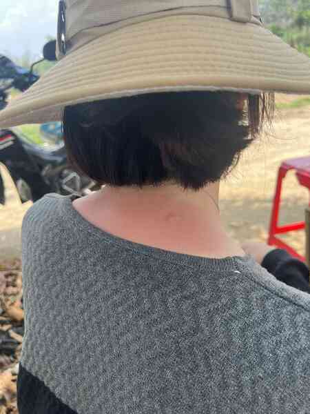 Bỏ nghề dược sĩ đi cuốc đất, trồng hoa: Chi 300 triệu cho khu vườn, da bị nhiều tàn nhang nhưng thấy đáng