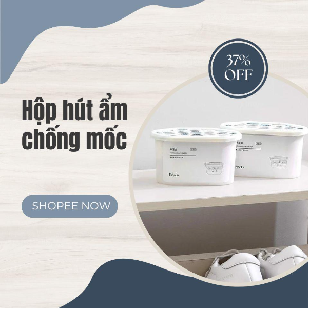 4 sản phẩm cứu tinh nhà cửa khỏi ẩm mốc mùa mưa bão, giá chỉ từ 50.000 đồng - Ảnh 2. 4 sản phẩm cứu tinh nhà cửa khỏi ẩm mốc mùa mưa bão, giá chỉ từ 50.000 đồng - Ảnh 2.