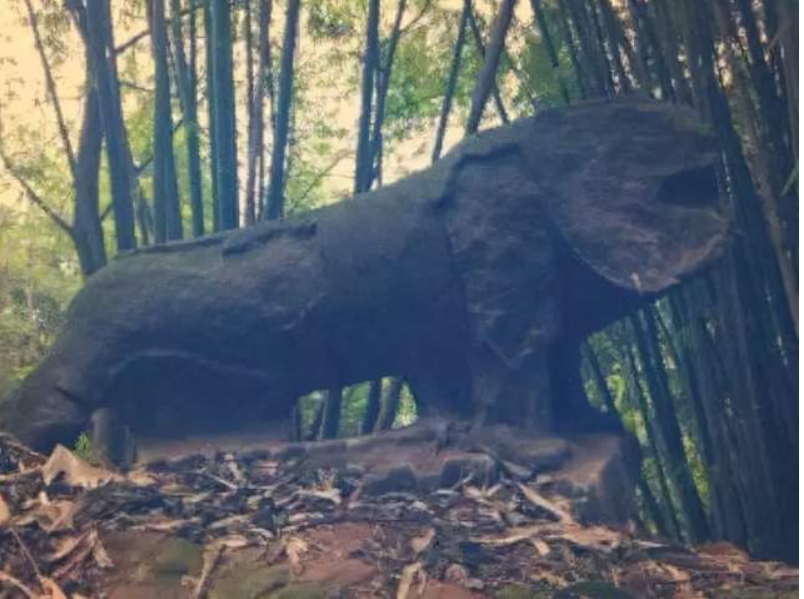 Máy xúc đào trúng khúc gỗ 1m để lộ "cục đá" lạ, chuyên gia lần theo manh mối tìm thấy kho báu trị giá 11.000 tỷ đồng - Ảnh 4. Máy xúc đào trúng khúc gỗ 1m để lộ "cục đá" lạ, chuyên gia lần theo manh mối tìm thấy kho báu trị giá 11.000 tỷ đồng - Ảnh 4.
