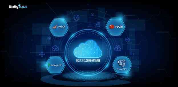 Bizfly Cloud Database - CSDL đám mây dự phòng sự cố, tiết kiệm 90% thời gian vận hành - Ảnh 3. Bizfly Cloud Database - CSDL đám mây dự phòng sự cố, tiết kiệm 90% thời gian vận hành - Ảnh 3.