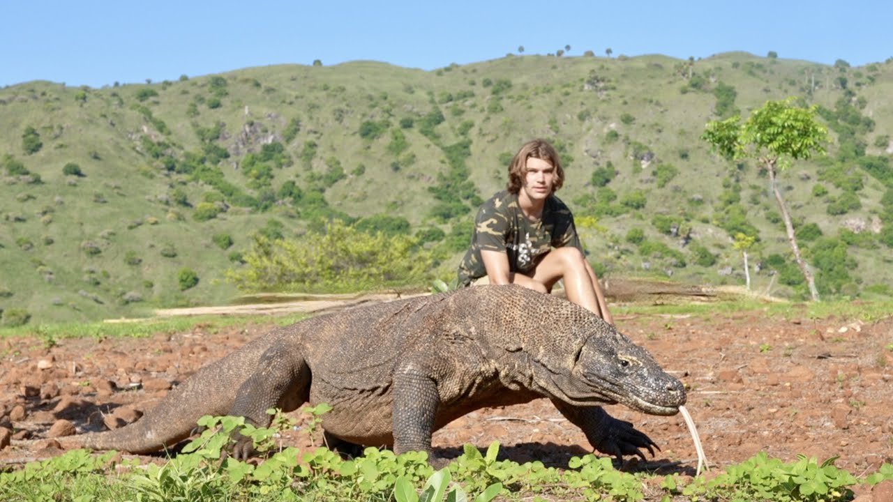 Điều gì xảy ra nếu một người bị rồng Komodo cắn?