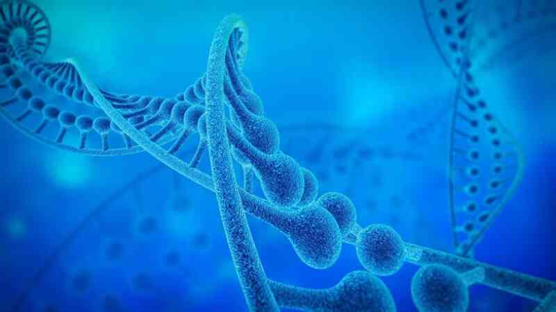 Bí ẩn về prion ẩn trên nhiễm sắc thể thứ 20 của con người
