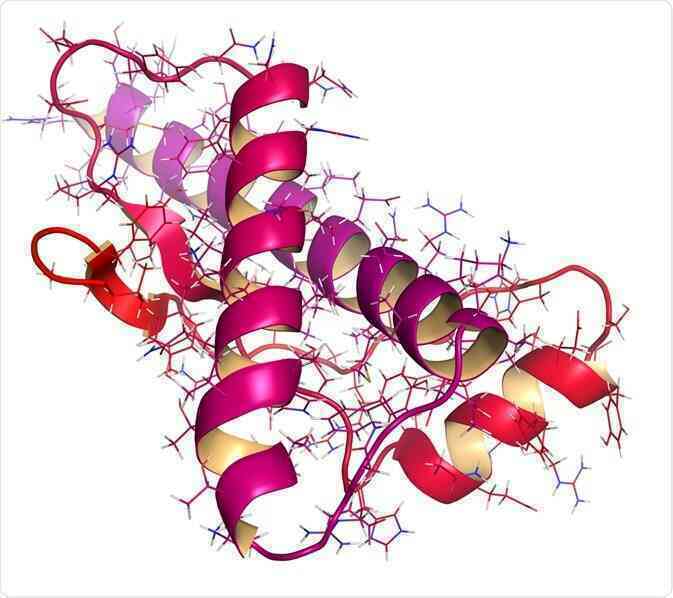 Bí ẩn về prion ẩn trên nhiễm sắc thể thứ 20 của con người - Ảnh 2. Bí ẩn về prion ẩn trên nhiễm sắc thể thứ 20 của con người - Ảnh 2.