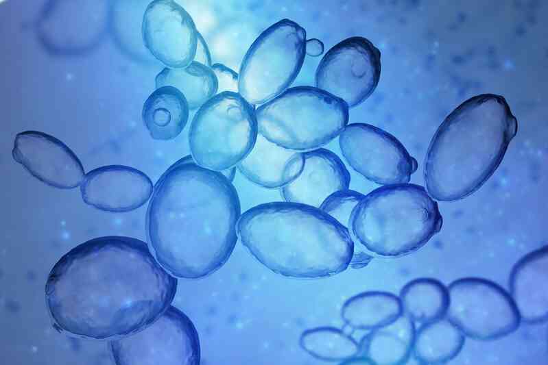 Bí ẩn về prion ẩn trên nhiễm sắc thể thứ 20 của con người - Ảnh 5. Bí ẩn về prion ẩn trên nhiễm sắc thể thứ 20 của con người - Ảnh 5.