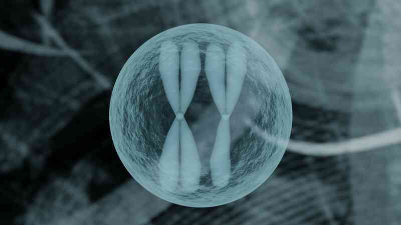 Bí ẩn về prion ẩn trên nhiễm sắc thể thứ 20 của con người - Ảnh 6. Bí ẩn về prion ẩn trên nhiễm sắc thể thứ 20 của con người - Ảnh 6.