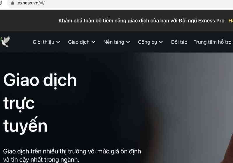 Sàn forex và website cá cược quốc tế công khai hoạt động tại Việt Nam