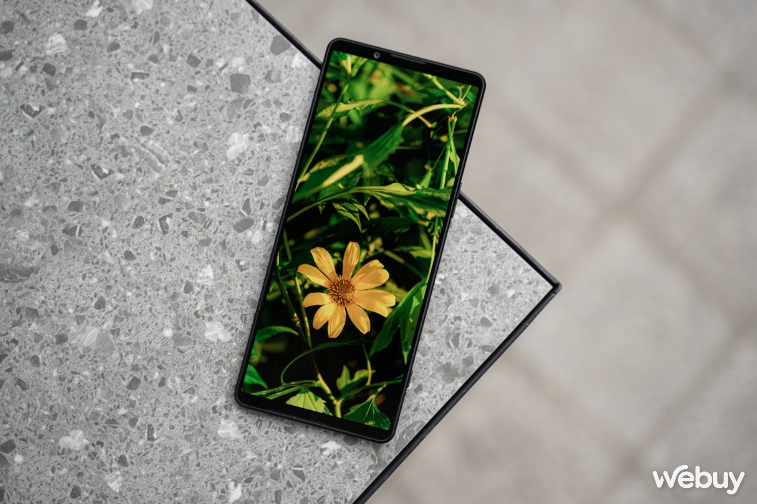 Fan Sony nói về Xperia 1 V sau 5 năm Fan Sony nói về Xperia 1 V sau 5 năm