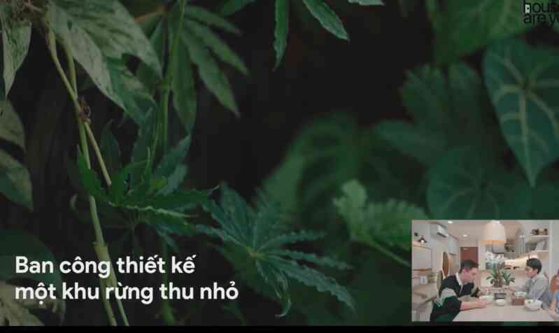 Không gian sống “chữa lành” trị giá 6 tỷ của Tizi Đích Lép giữa lòng Sài Gòn: Biến ban công thành rừng nhiệt đới - Ảnh 7. Không gian sống “chữa lành” trị giá 6 tỷ của Tizi Đích Lép giữa lòng Sài Gòn: Biến ban công thành rừng nhiệt đới - Ảnh 7.