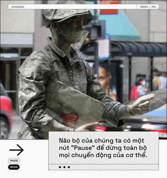 Các nhà khoa học tìm thấy một nút "Pause" trong não bộ, khi nhấn vào, toàn bộ cơ thể bạn sẽ bất động