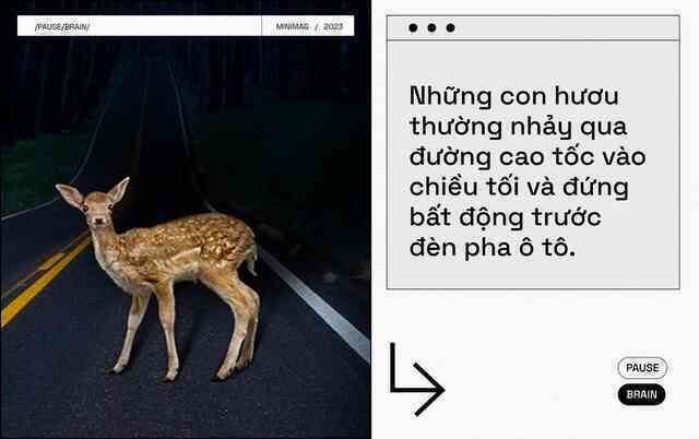 Các nhà khoa học tìm thấy một nút "Pause" trong não bộ, khi nhấn vào, toàn bộ cơ thể bạn sẽ bất động - Ảnh 5. Các nhà khoa học tìm thấy một nút "Pause" trong não bộ, khi nhấn vào, toàn bộ cơ thể bạn sẽ bất động - Ảnh 5.