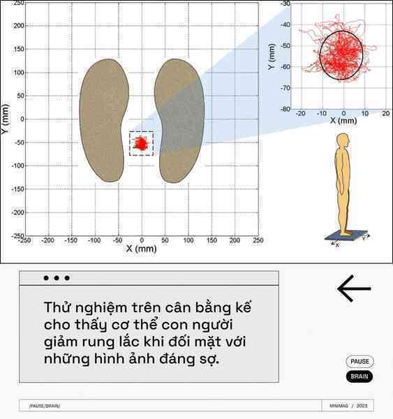 Các nhà khoa học tìm thấy một nút "Pause" trong não bộ, khi nhấn vào, toàn bộ cơ thể bạn sẽ bất động - Ảnh 7. Các nhà khoa học tìm thấy một nút "Pause" trong não bộ, khi nhấn vào, toàn bộ cơ thể bạn sẽ bất động - Ảnh 7.