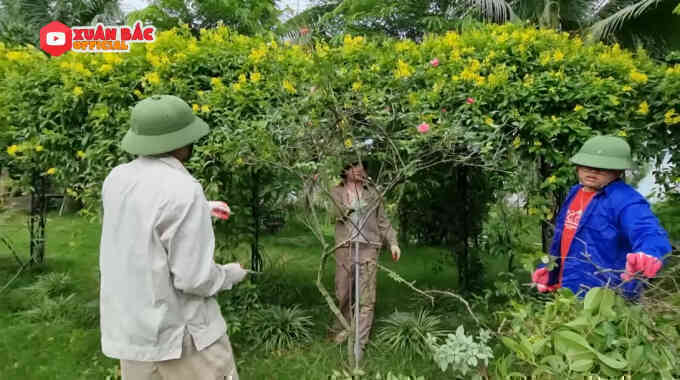 Bên trong biệt phủ tiền tỷ của Xuân Bắc: Không gian sống an yên, chiếm "spotlight" là sân vườn quanh năm hoa trái sai trĩu mọc - Ảnh 11. Bên trong biệt phủ tiền tỷ của Xuân Bắc: Không gian sống an yên, chiếm "spotlight" là sân vườn quanh năm hoa trái sai trĩu mọc - Ảnh 11.