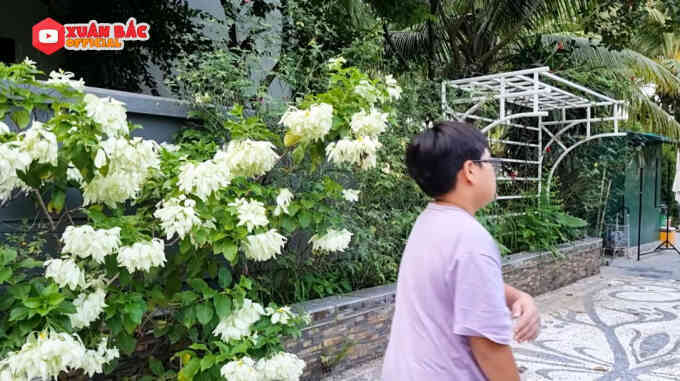 Bên trong biệt phủ tiền tỷ của Xuân Bắc: Không gian sống an yên, chiếm "spotlight" là sân vườn quanh năm hoa trái sai trĩu mọc - Ảnh 13. Bên trong biệt phủ tiền tỷ của Xuân Bắc: Không gian sống an yên, chiếm "spotlight" là sân vườn quanh năm hoa trái sai trĩu mọc - Ảnh 13.