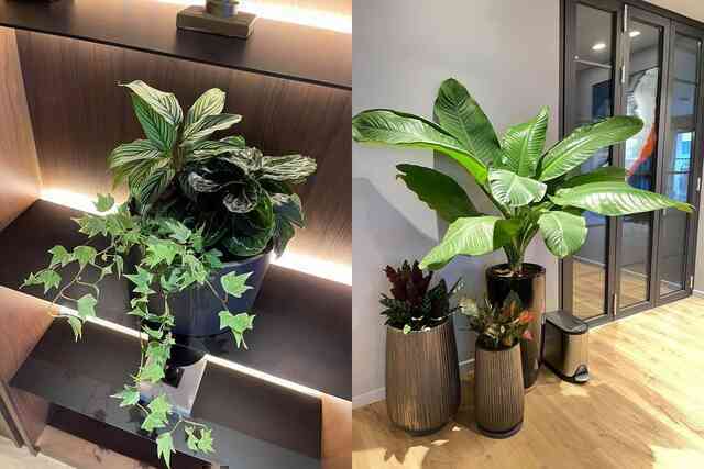 Căn penthouse của MC Thành Trung và vợ cựu tiếp viên hàng không: Rộng 260m2, nội thất sang xịn chuẩn đẳng cấp - Ảnh 17. Căn penthouse của MC Thành Trung và vợ cựu tiếp viên hàng không: Rộng 260m2, nội thất sang xịn chuẩn đẳng cấp - Ảnh 17.