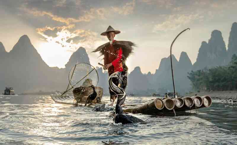 Tại sao nhiều nơi lại cấm đánh bắt cá bằng chim cốc? - Ảnh 2. Tại sao nhiều nơi lại cấm đánh bắt cá bằng chim cốc? - Ảnh 2.