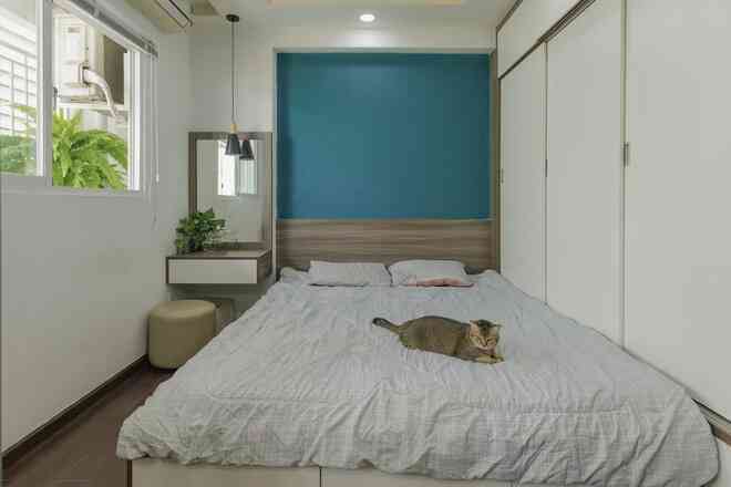 Chi 70 triệu đồng sửa nhà với rất nhiều cây, chàng trai bị hỏi