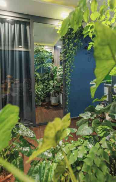 Chi 70 triệu đồng sửa nhà với rất nhiều cây, chàng trai bị hỏi