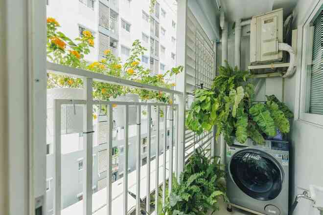 Chi 70 triệu đồng sửa nhà với rất nhiều cây, chàng trai bị hỏi