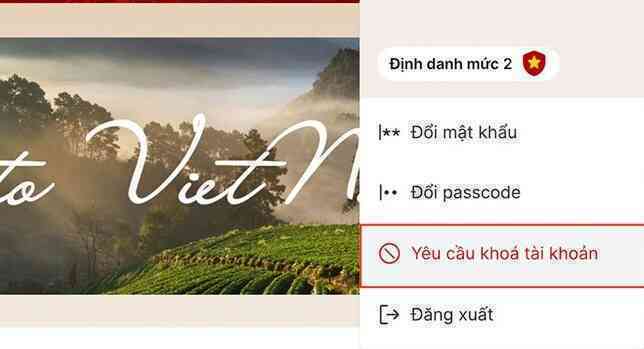 Nếu bị mất điện thoại, đây là các bước khóa tài khoản VNeID để bảo vệ thông tin cá nhân - Ảnh 2. Nếu bị mất điện thoại, đây là các bước khóa tài khoản VNeID để bảo vệ thông tin cá nhân - Ảnh 2.