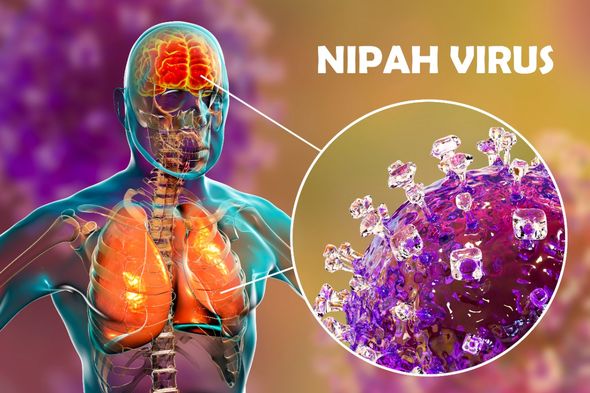 Virus Nipah bùng phát: Tỷ lệ tử vong cao gấp 20 lần COVID-19, WHO cảnh báo có thể gây ra đại dịch tiếp theo - Ảnh 4. Virus Nipah bùng phát: Tỷ lệ tử vong cao gấp 20 lần COVID-19, WHO cảnh báo có thể gây ra đại dịch tiếp theo - Ảnh 4.