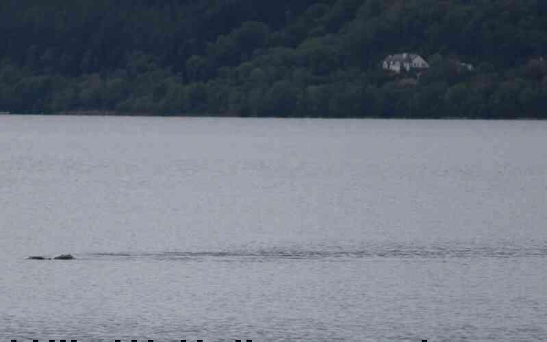 Bức ảnh mới nhất về quái vật bí ẩn tại hồ Loch Ness - Ảnh 4. Bức ảnh mới nhất về quái vật bí ẩn tại hồ Loch Ness - Ảnh 4.