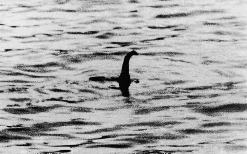 Bức ảnh mới nhất về quái vật bí ẩn tại hồ Loch Ness - Ảnh 6. Bức ảnh mới nhất về quái vật bí ẩn tại hồ Loch Ness - Ảnh 6.
