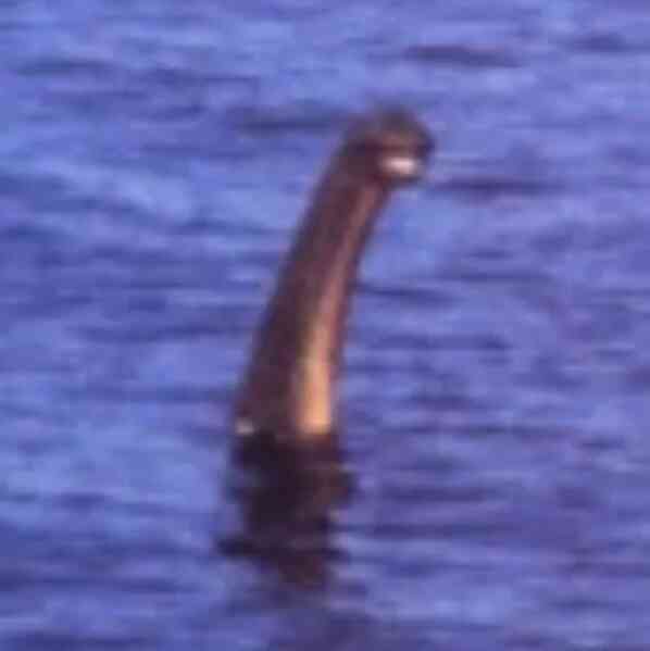 Bức ảnh mới nhất về quái vật bí ẩn tại hồ Loch Ness - Ảnh 8. Bức ảnh mới nhất về quái vật bí ẩn tại hồ Loch Ness - Ảnh 8.