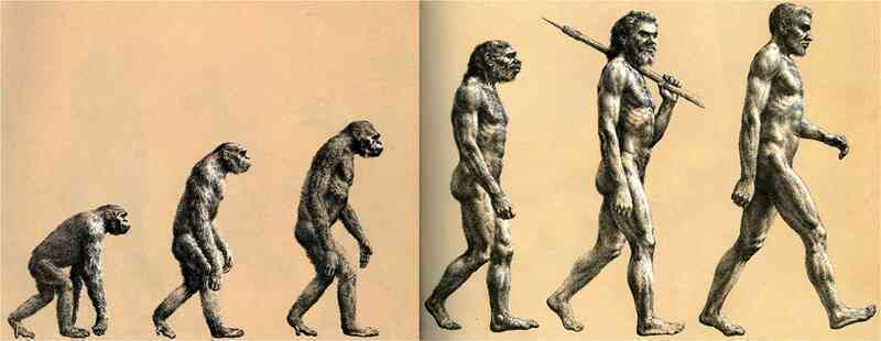 Thuyết tiến hóa do Darwin đề xuất có thực sự đáng tin? - Ảnh 4.