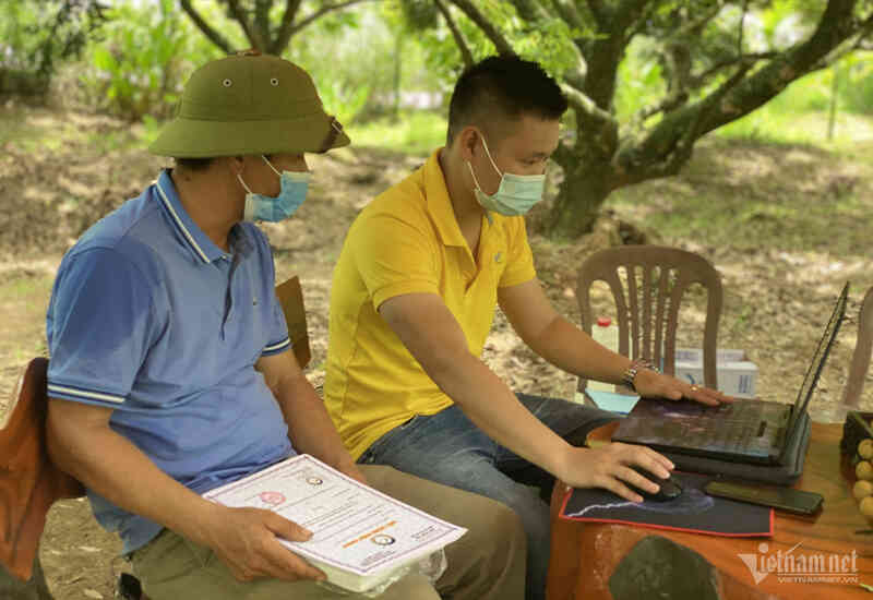 Khai trương hệ tri thức chuyển đổi số của Việt Nam vào cuối năm 2024