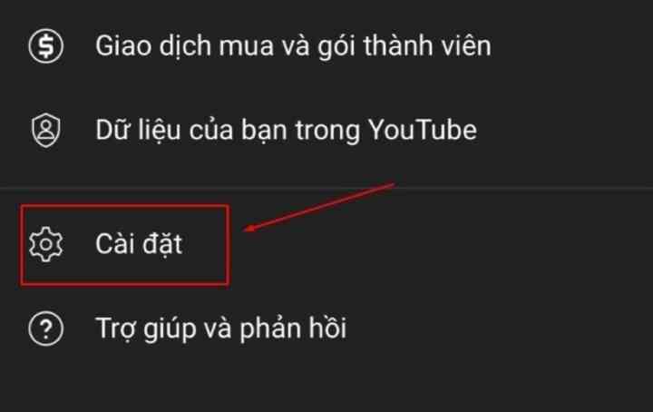 Cách xóa video đã xem trên YouTube có thể bạn chưa biết - Ảnh 2. Cách xóa video đã xem trên YouTube có thể bạn chưa biết - Ảnh 2.