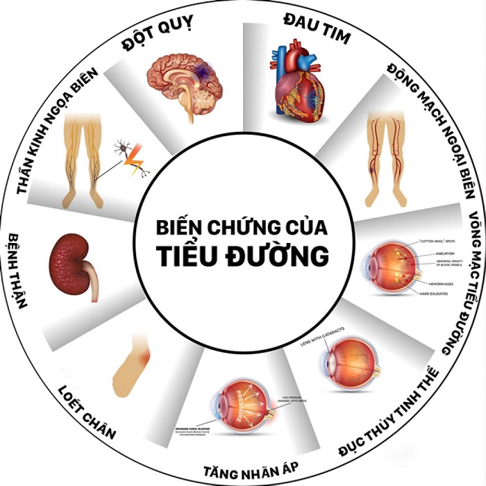 Bất ngờ: Thuốc điều trị ung thư di căn lại có tiềm năng chữa khỏi bệnh tiểu đường- Ảnh 4. Bất ngờ: Thuốc điều trị ung thư di căn lại có tiềm năng chữa khỏi bệnh tiểu đường- Ảnh 4.