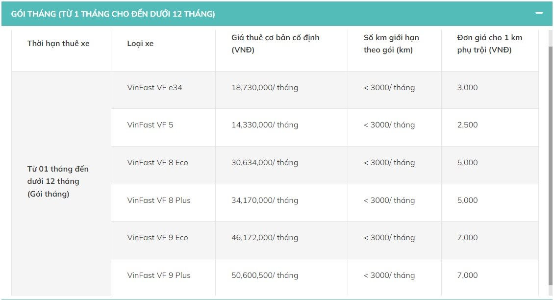 Xanh SM tung dịch vụ cho thuê xe dịp Tết, cao nhất 34,4 triệu đồng cho 10 ngày- Ảnh 3.