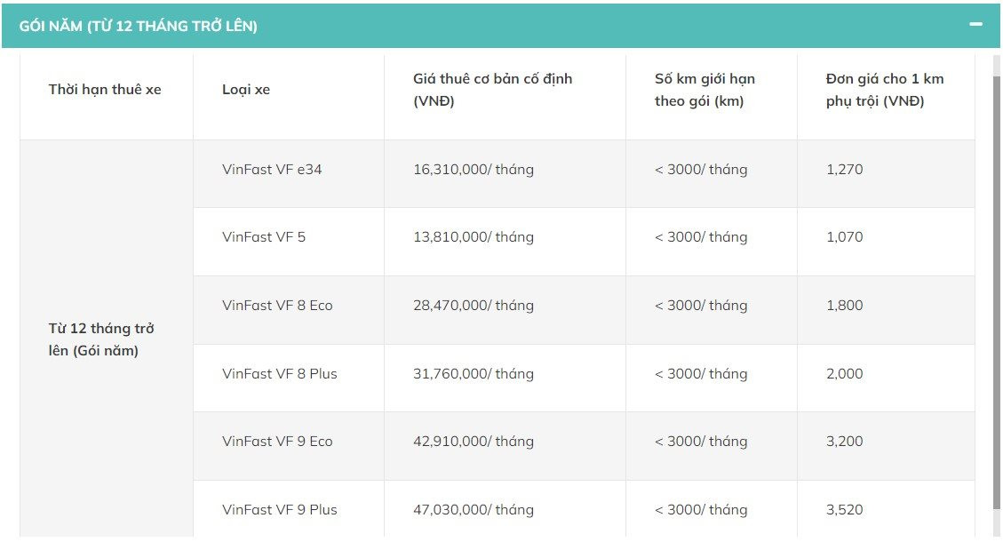 Xanh SM tung dịch vụ cho thuê xe dịp Tết, cao nhất 34,4 triệu đồng cho 10 ngày- Ảnh 4.
