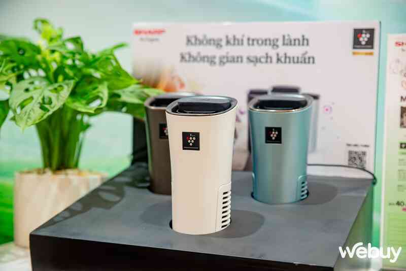 Cận cảnh máy lọc không khí SHARP Purefit mini: Kích thước gọn gàng, màu sắc nhẹ nhàng, đặc biệt công nghệ Plasmacluster ion diệt khuẩn Cận cảnh máy lọc không khí SHARP Purefit mini: Kích thước gọn gàng, màu sắc nhẹ nhàng, đặc biệt công nghệ Plasmacluster ion diệt khuẩn