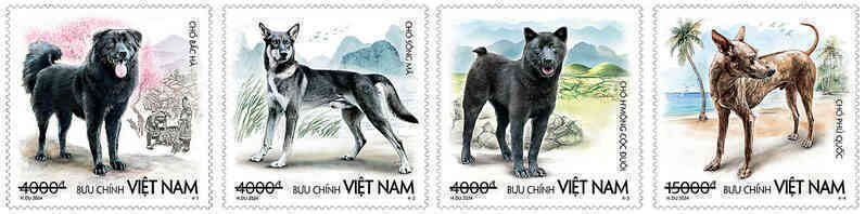 bo tem chuyen de cho  02.jpg