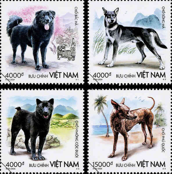bo tem chuyen de cho 1 1.jpg
