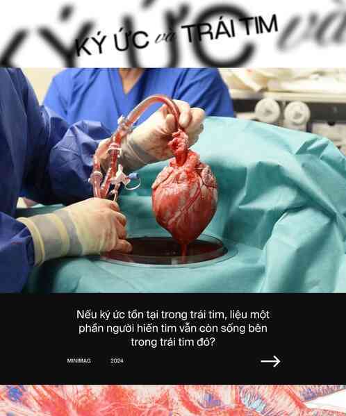 Nếu ký ức tồn tại trong trái tim: Liệu một phần người hiến tim vẫn còn sống, bên trong cơ thể người nhận tạng ghép?- Ảnh 12. Nếu ký ức tồn tại trong trái tim: Liệu một phần người hiến tim vẫn còn sống, bên trong cơ thể người nhận tạng ghép?- Ảnh 12.